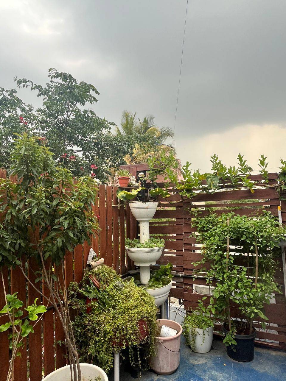 H.O.M.E Cafe - A Sanctuary for Mind Body & Soul