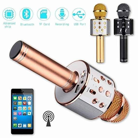 Toyland Premium Wireless Mike Microphone with Audio Recording Multifunction Bluetooth Speaker Buy @ ₹399