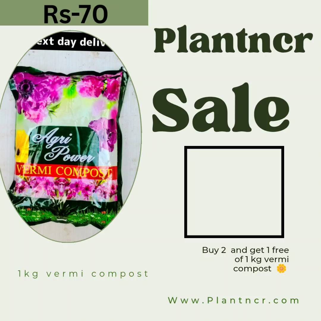 Vermicompost 1 kg (set of 3)