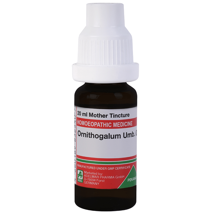 ADEL Ornithogalum Umb. Mother Tincture Q