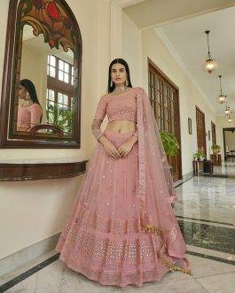 Soft Net Peach Color Soft Net Lehenga Choli