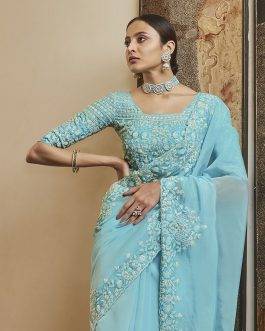 Stunning Embroidered and Sequence Worked Sky Blur Saree