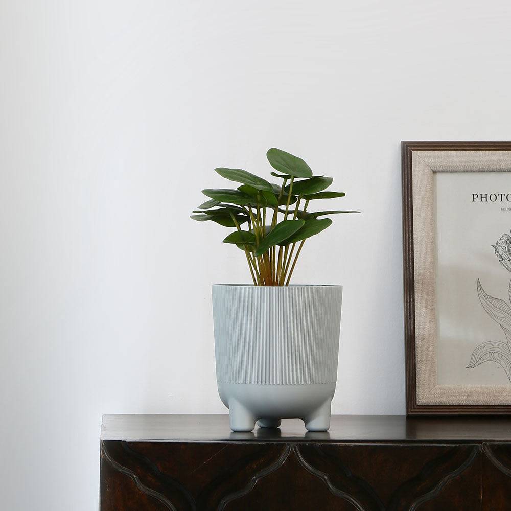 Fluted Design Polypropylene Mini Planter- Grey