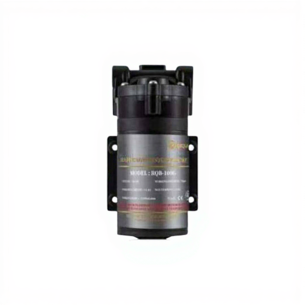 Rui Quan Pump 100 GPD