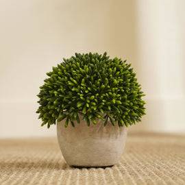 Green Artificial Round Grass with Cement Pot