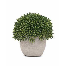 Green Artificial Round Grass with Cement Pot