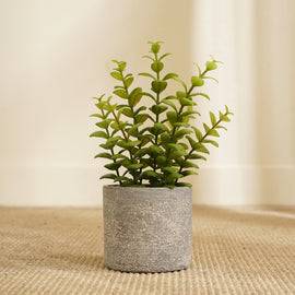 Green Artificial Apple Leaves with Cement Pot