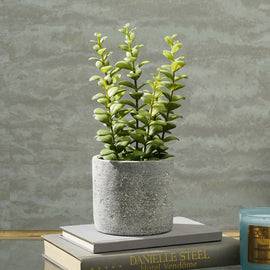Green Artificial Apple Leaves with Cement Pot