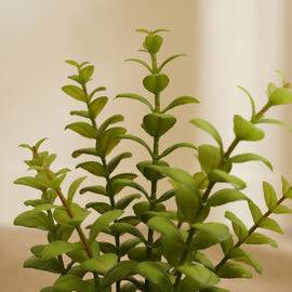 Green Artificial Apple Leaves with Cement Pot