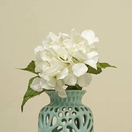 Hydrangea Ivory Stem