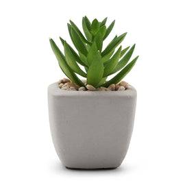 Green Artificial Succulents With Pot