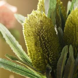 Green Protea Single Spray