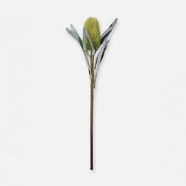 Green Protea Single Spray