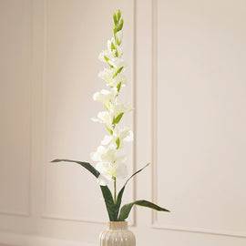 Set of 2 Gladious Ivory Stem