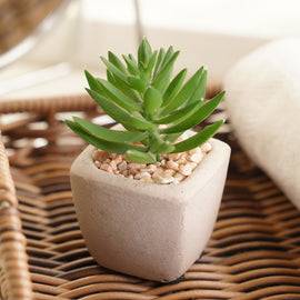 Set Of 4 Green Faux Succulent With Cement Pot