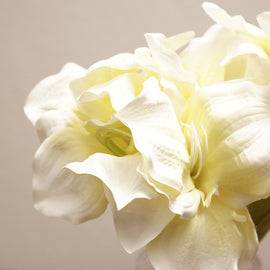 Ivory Amaryllis Faux Flower Stem - Single