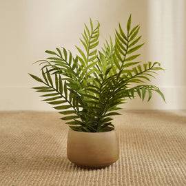 Green Artificial Fern Plant with Pot