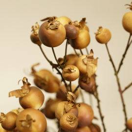Brown Dry Pomegranate Artificial Stem - Single