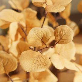 Brown Dry Eucalyptus Artificial Leaf Spray - Single