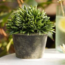 Green Artificial Rosemary with Pot