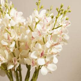 Ivory Artificial Vanda Orchid Flower Stem - Single