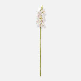 Ivory Artificial Vanda Orchid Flower Stem - Single