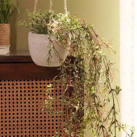Green & Purple Artificial Hanging Plant with Cement Pot