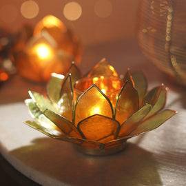 Amber & Green Ombre 22 Petals Capiz Tealight Holder