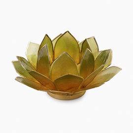 Amber & Green Ombre 22 Petals Capiz Tealight Holder