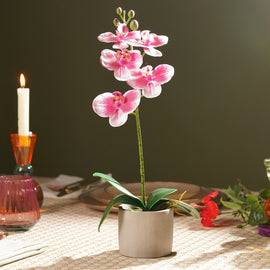 Pink Artificial Orchid in Cement Pot