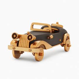 Gold and Grey Decorative Car
