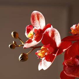 Orange Phalaenopsis Artificial Flower Stem - Single