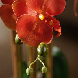 Orange Artificial Orchid Flower in Pot