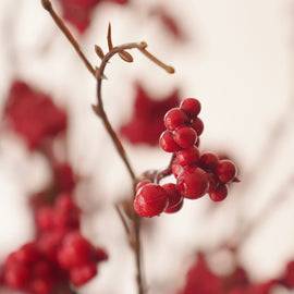 Red Small Artificial Berry Twig - Single