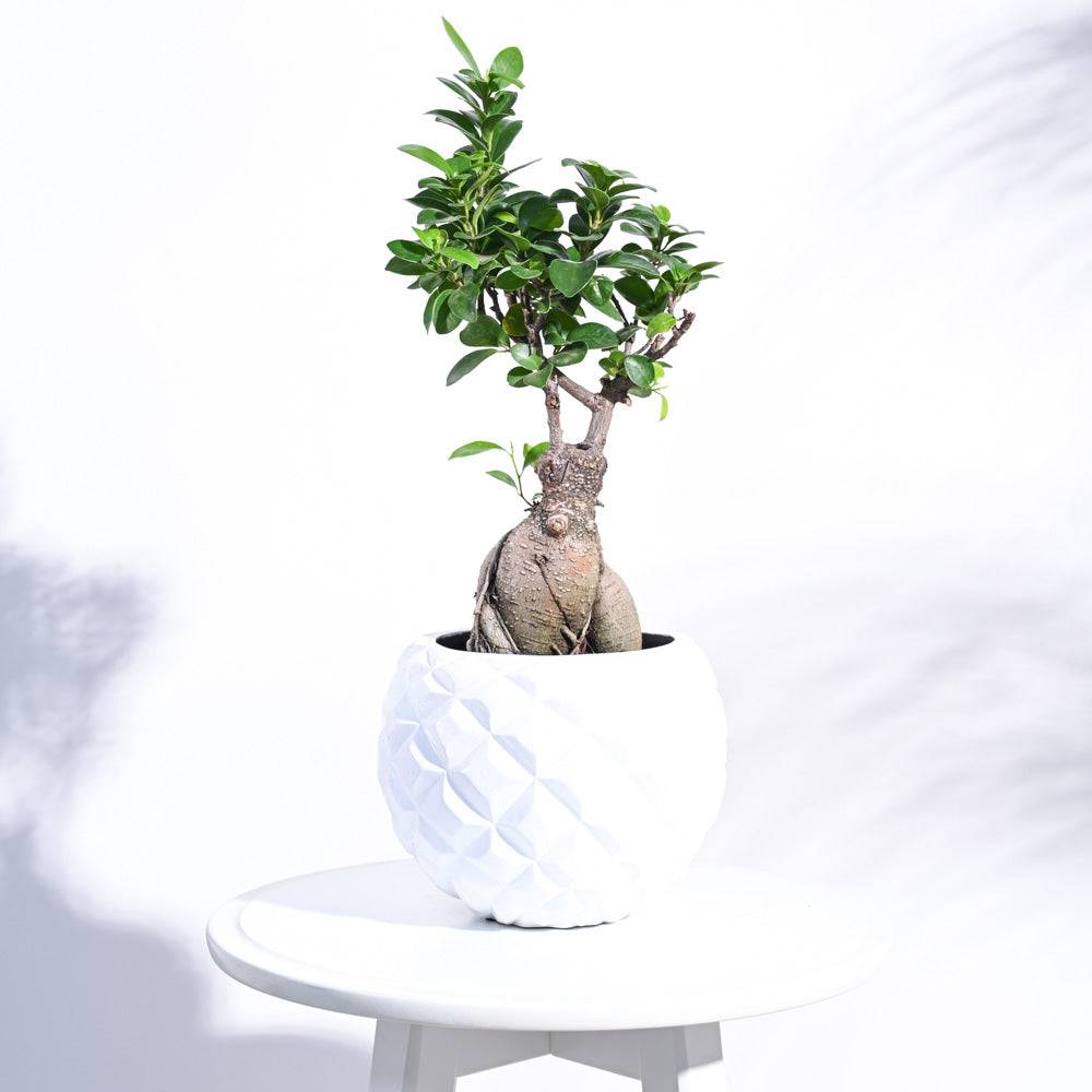 Heraldry Vase Ball
