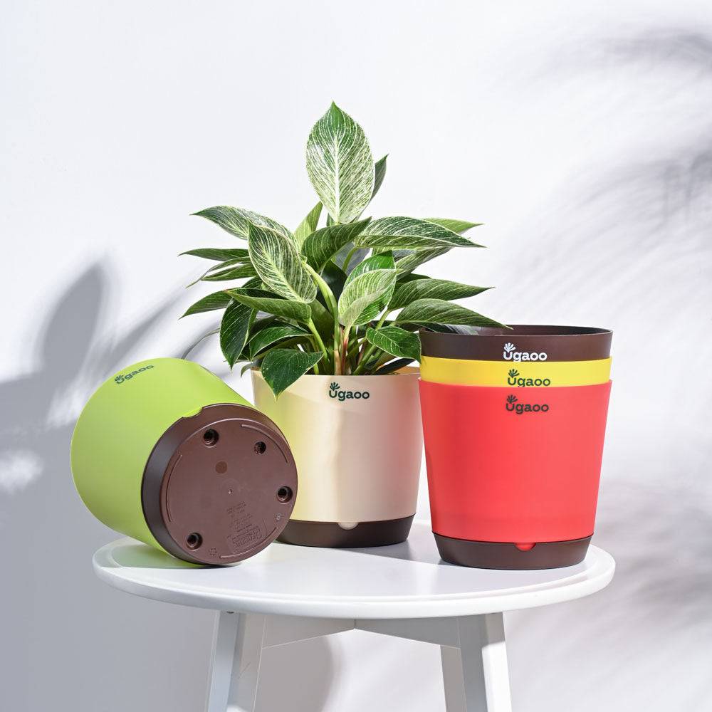 Krish Self Watering Planter - Set of 5