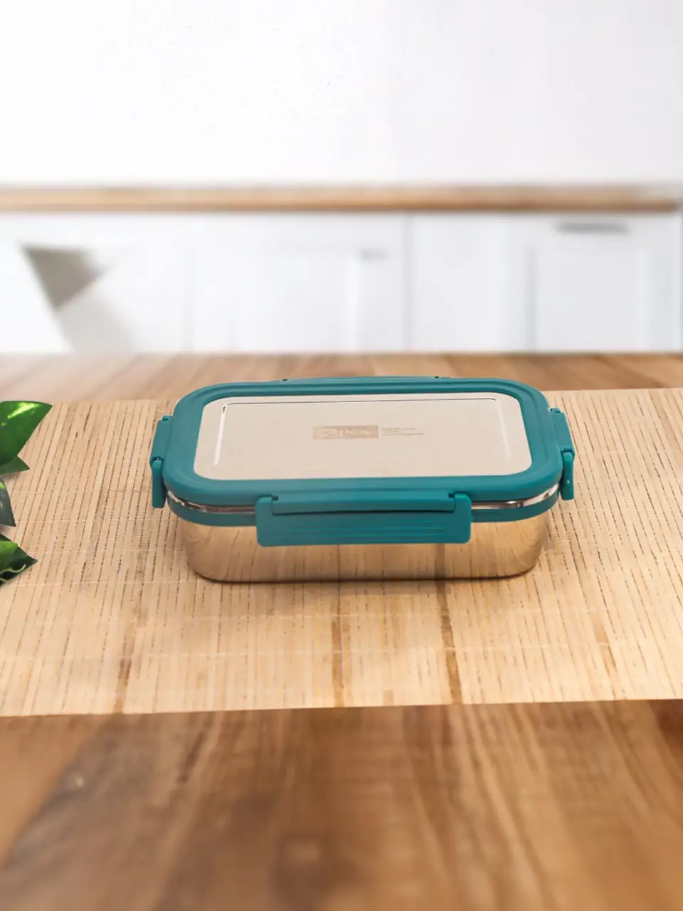 Apex Turquoise Stainless Steel Lunch Containers Buy @ ₹407