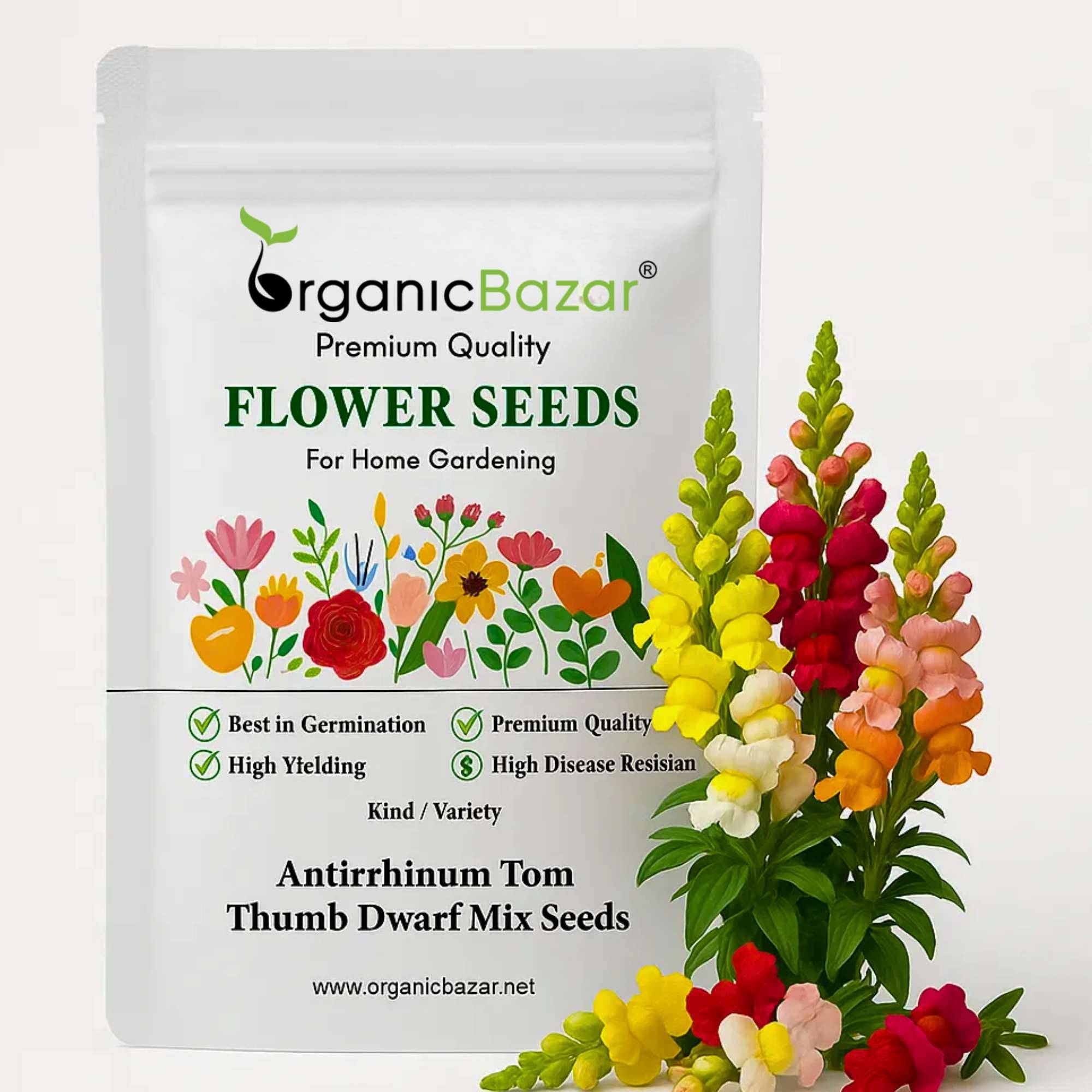 Antirrhinum Tom Thumb Dwarf Mix Seeds (400 Seeds)