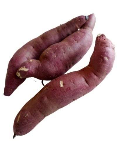 Sweet Potato(500gm) Buy only at ₹50