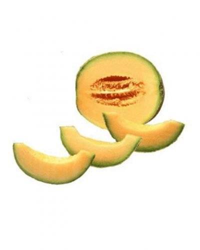 MuskMelon(600 -800gm) Buy only at ₹130