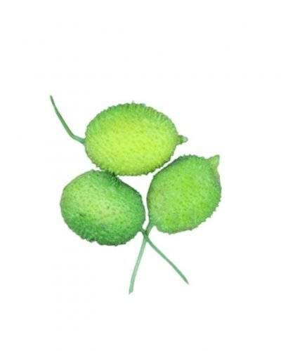 Kakora(250 Gm) Buy only at ₹35