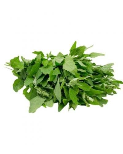 Bathua leaves(500Gm) Buy only at ₹32