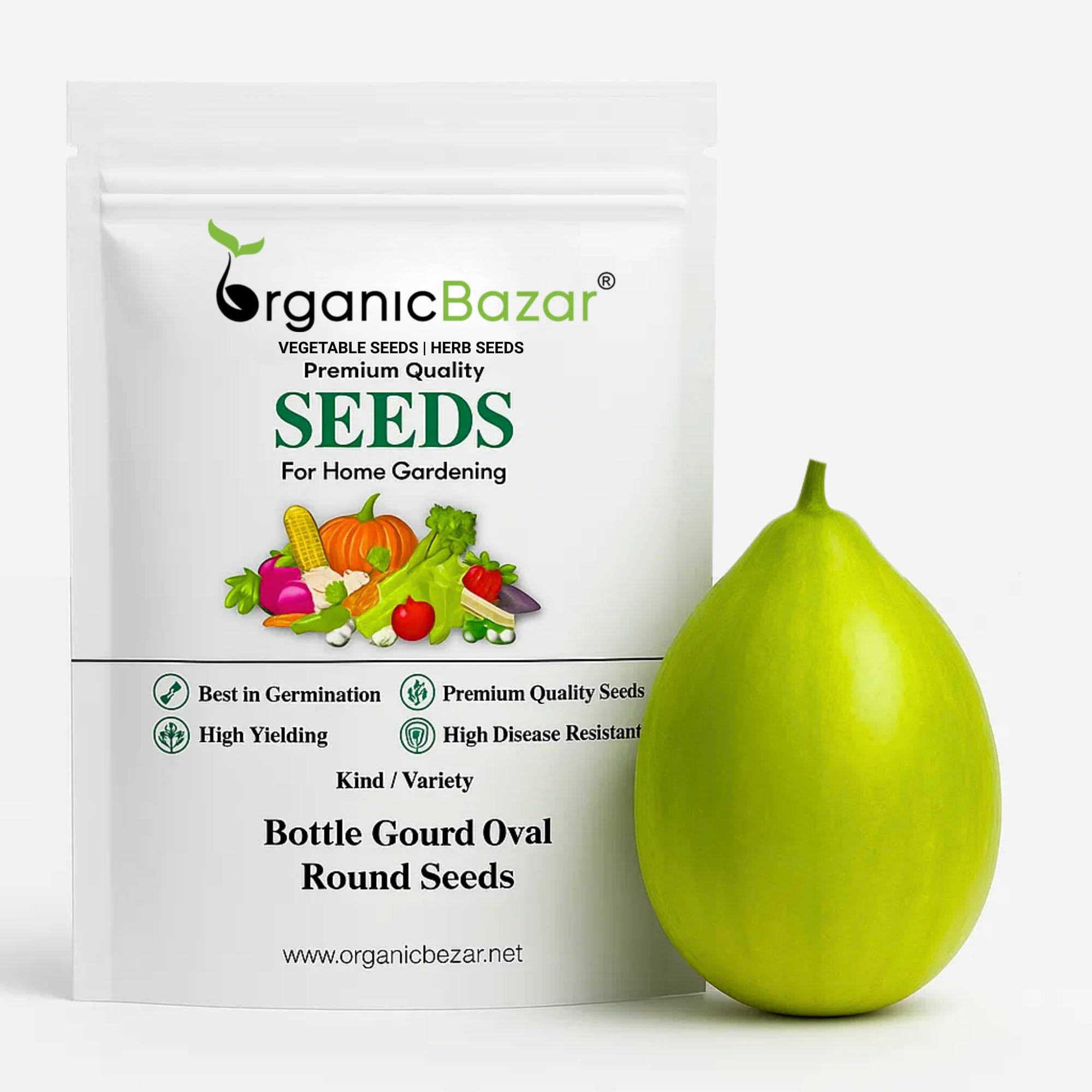Bottle Gourd (Lauki / Ghiya) Oval Round Seeds - 12 Seeds (गोल लौकी के बीज) Easy To grow, High Germination, High Yield,  Perfect Seeds for Terrace gardening