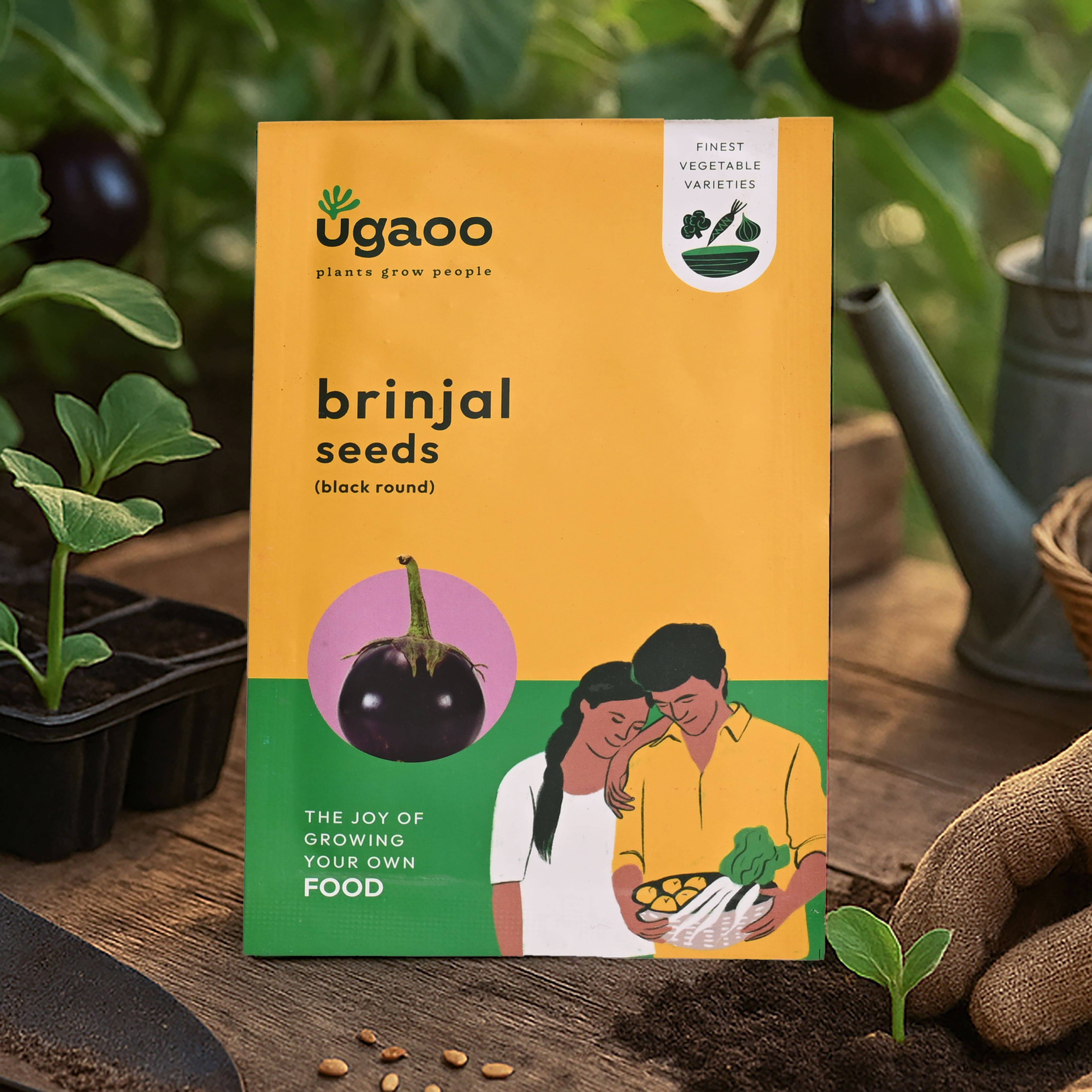 Black Brinjal Seeds (Round)