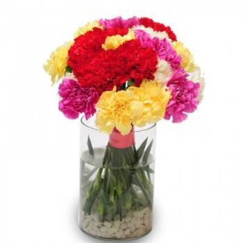 Carnations in Vase Buy at ₹1195