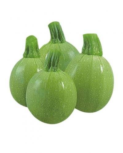 Chappan Tinda(500 Gm) Buy only at ₹45