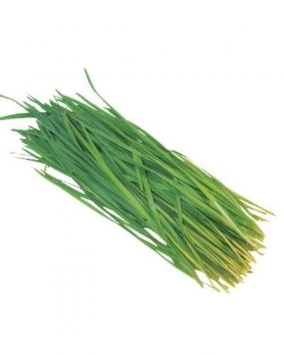 Chives Herbs(250 Gm) Buy only at ₹100