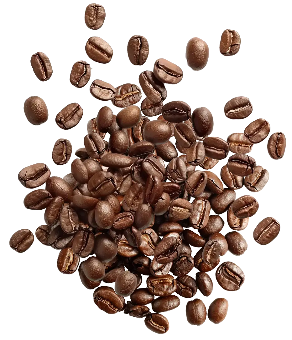 Buy Premium Misha Coffee Bulk Supplier 