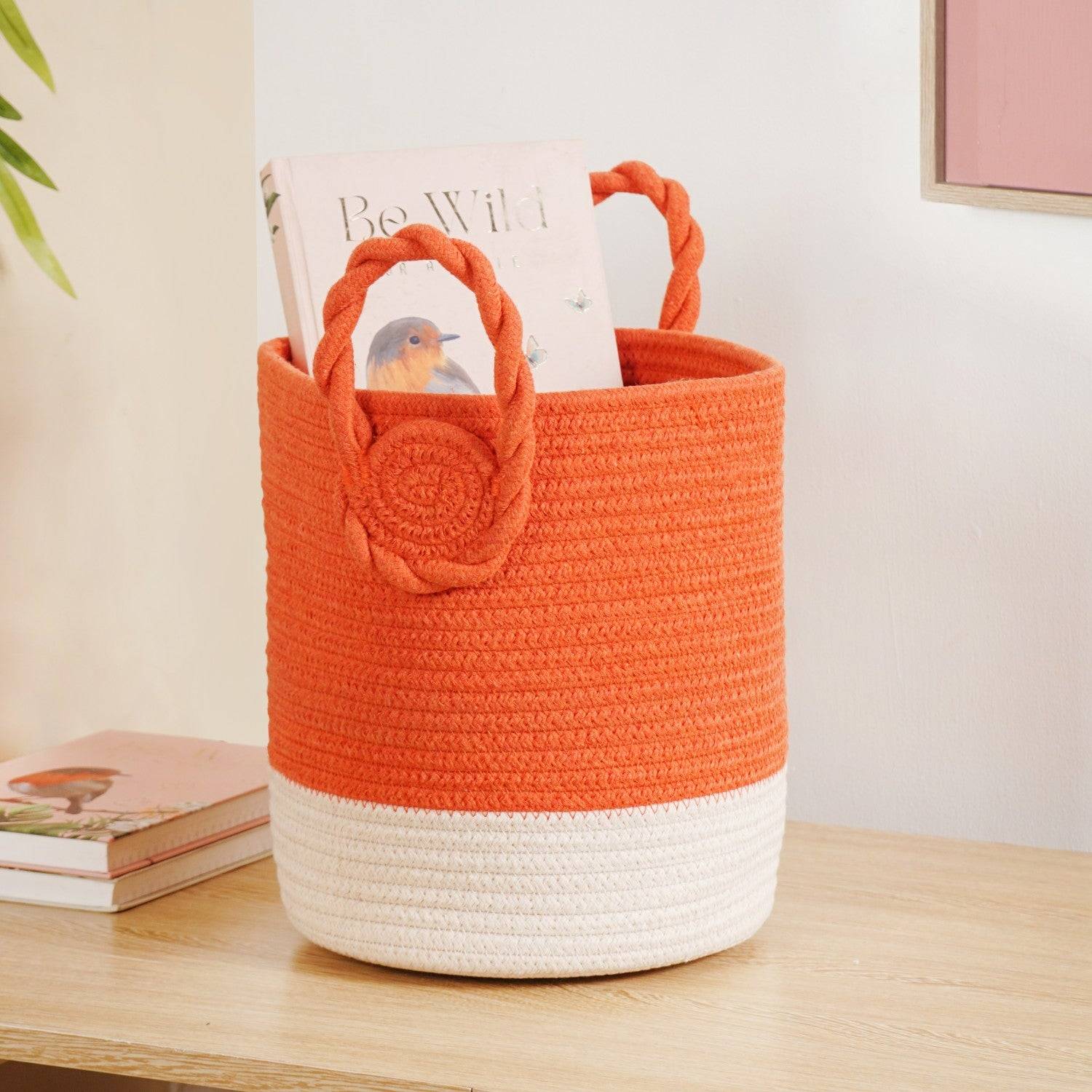Dainty Dual Colour Storage Basket 26cm