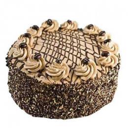 Special Delicious Coffee Cake Buy at ₹649